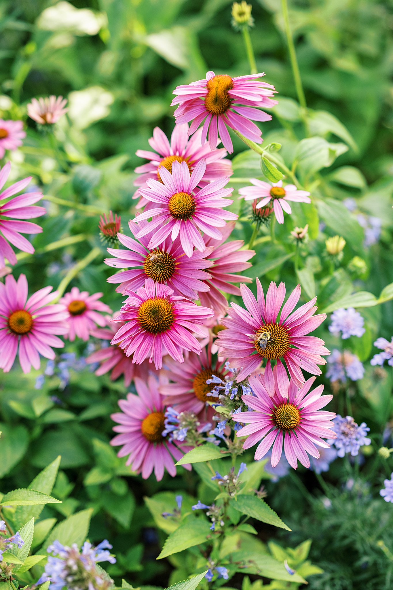 Morton Arboretum summer wedding photos in Lisle, Illinois with Chicago wedding and portrait photographer Kim Ritchie Photography.