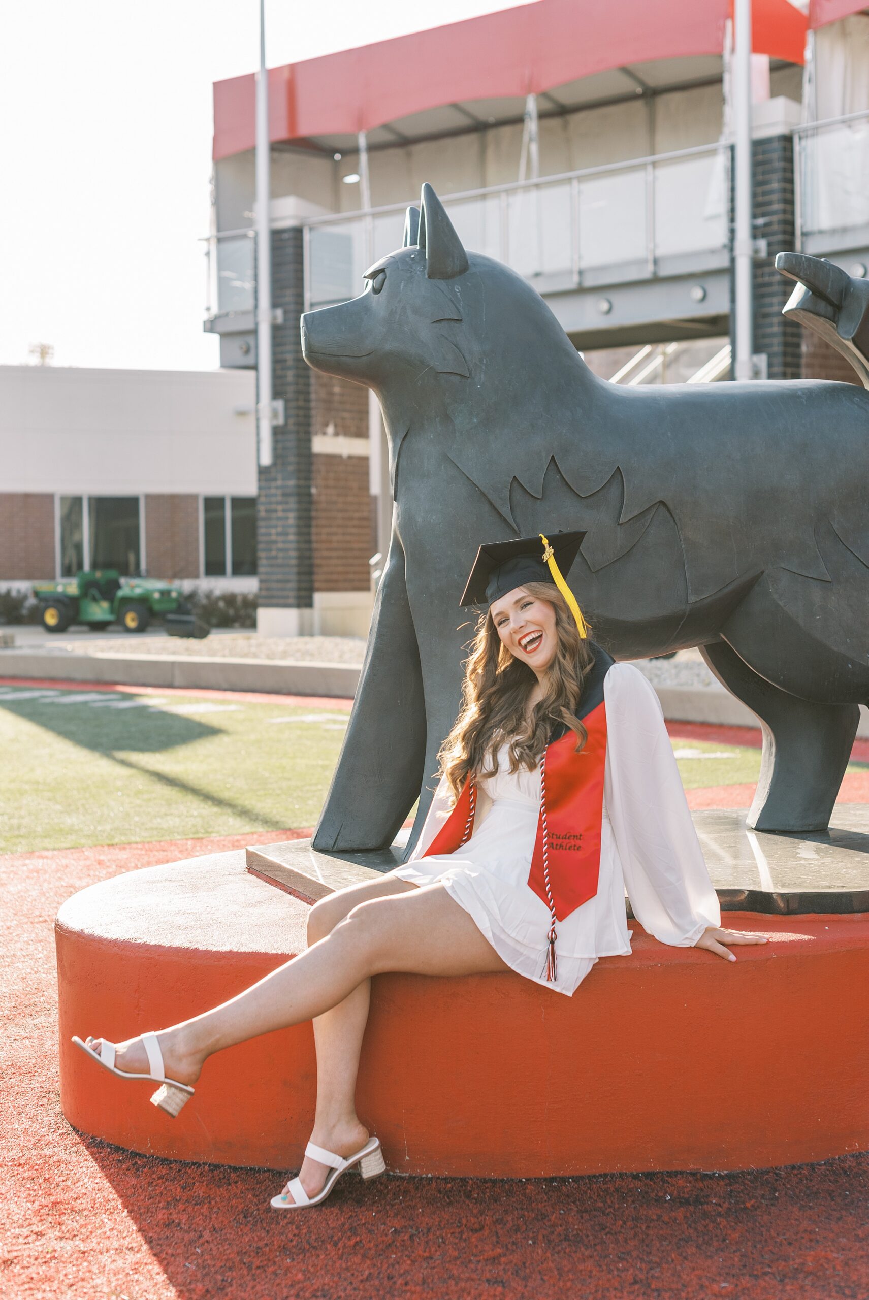 Northern Illinois University college graduation portraits | College cap and gown portraits at Northern Illinois University by Chicago senior photographer Kim Ritchie Photography.